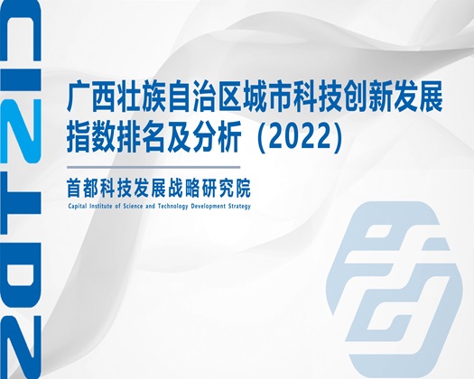 鸡巴操嫩逼视频【成果发布】广西壮族自治区城市科技创新发展指数排名及分析（2022）